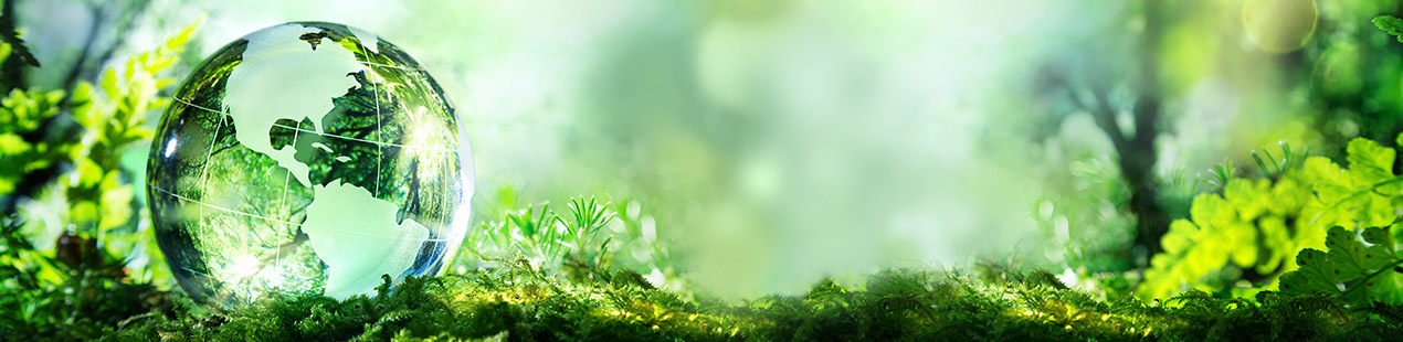 klimaatbijdrage Bannerbild